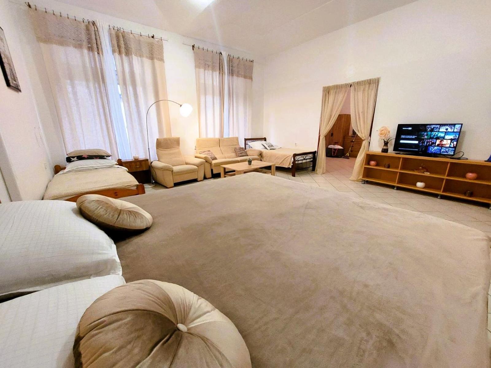 Exkluzivni V Prizemi V Hradci Kralove Apartment